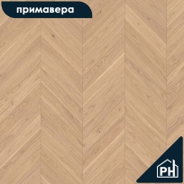 Дуб Аламо Селект