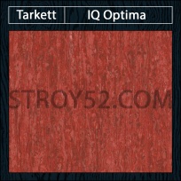 IQ Optima - Optima Red 0259