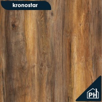 Дуб Огненный Synchropolis 8/33