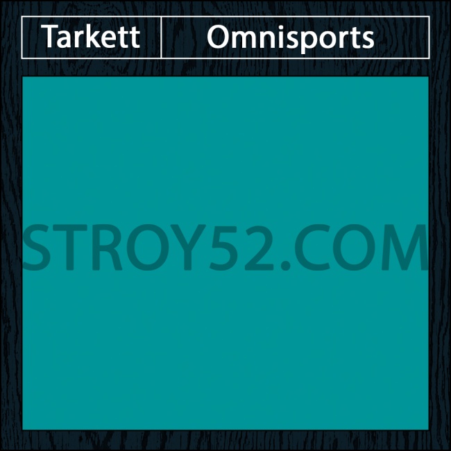 Omnisports R65 - Teal
