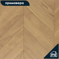 Дуб Сидра Селект