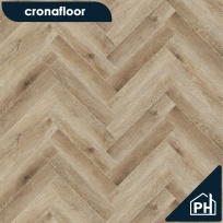 Дуб Монпелье H004