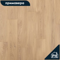 Дуб Аламо Натур