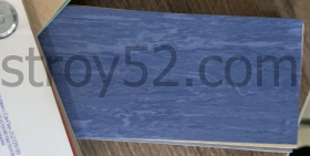 Horizon 007
