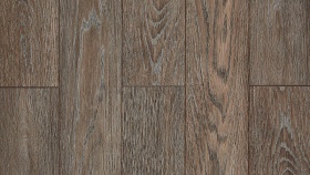 Сосна Тоскана