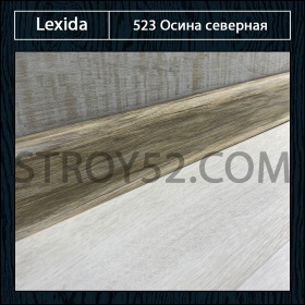 Осина северная 523