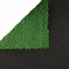Shanghai Grass 10