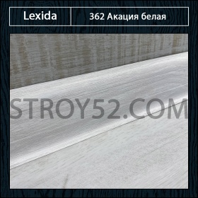 Акация белая 362