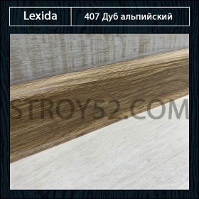 Дуб альпийский 407