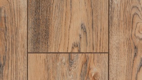 Вишня Контарини