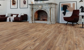 Вишня Контарини