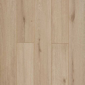 Дуб Альбаро