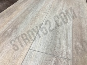 Дуб Тенерифе SF102