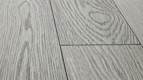 Ясень Конти