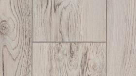 Сосна Сиена