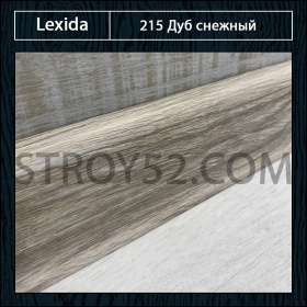 Дуб снежный 215