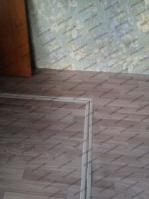 Pegas 1