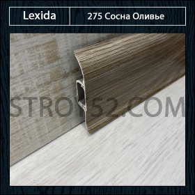 Сосна оливье 275