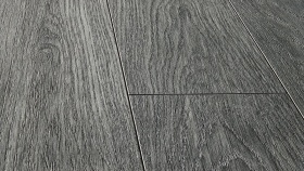 Дуб Адриано