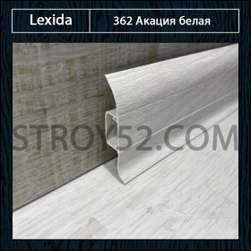 Акация белая 362
