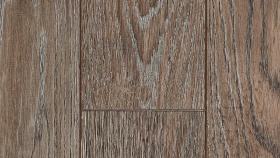 Сосна Тоскана