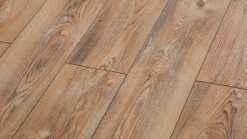 Вишня Контарини