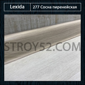 Сосна пиренейская 277