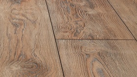 Вишня Контарини