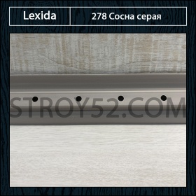 Сосна серая 278