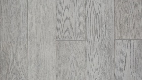 Ясень Конти