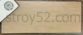 Horizon 005
