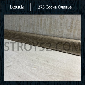 Сосна оливье 275