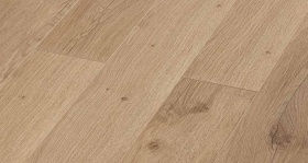 Дуб Салентино