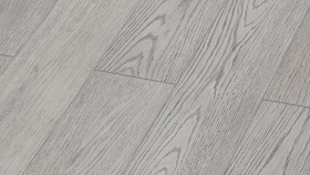 Ясень Конти