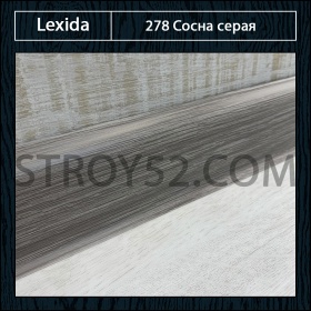 Сосна серая 278