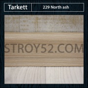 229 North ash