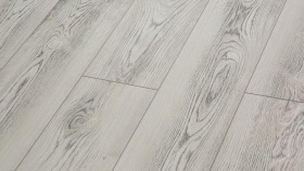 Клен Мадена