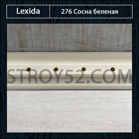 Сосна беленая 276