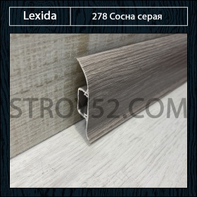 Сосна серая 278