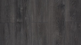 Сосна Мессина