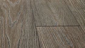 Сосна Тоскана