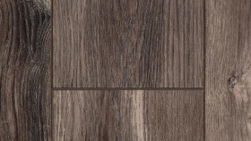 Тис Амальфи