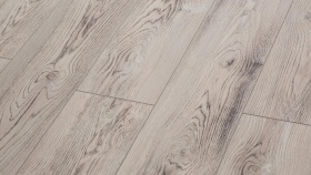 Сосна Сиена