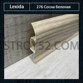 Сосна беленая 276