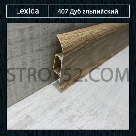 Дуб альпийский 407