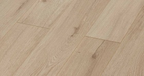 Дуб Альбаро