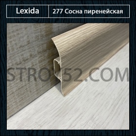 Сосна пиренейская 277