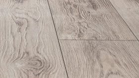 Сосна Сиена